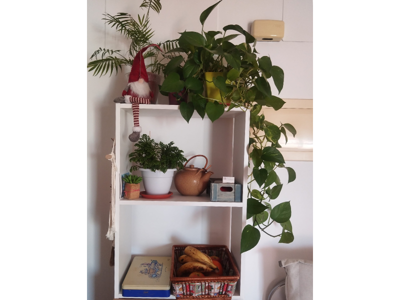 Foto de cliente de Estantería baja Tibet color Blanco mate 50x75x25 cm